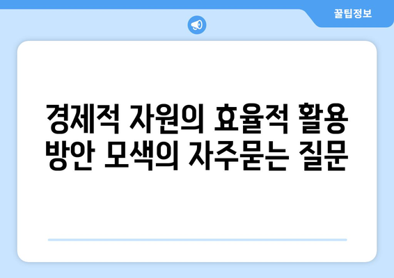 경제적 자원의 효율적 활용 방안 모색