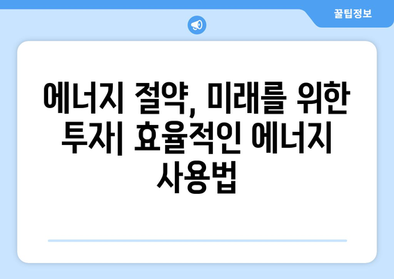 경제적 자원의 효율적 활용 방안 모색