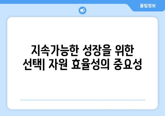 경제적 자원의 효율적 활용 방안 모색